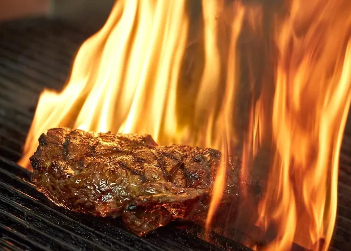 酒店 莱比锡海滨公园酒店 4*